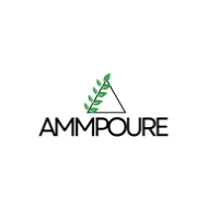 Ammpoure UK Discount Codes