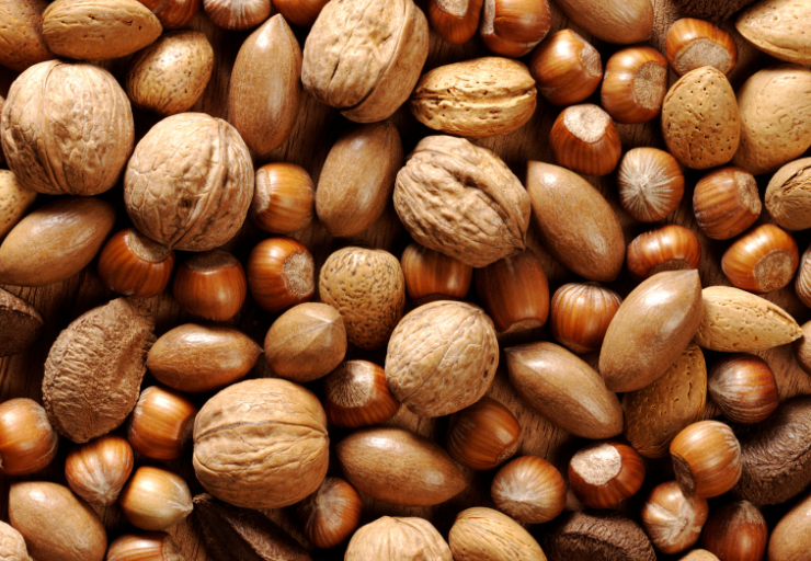 easiest-nut-trees-grow